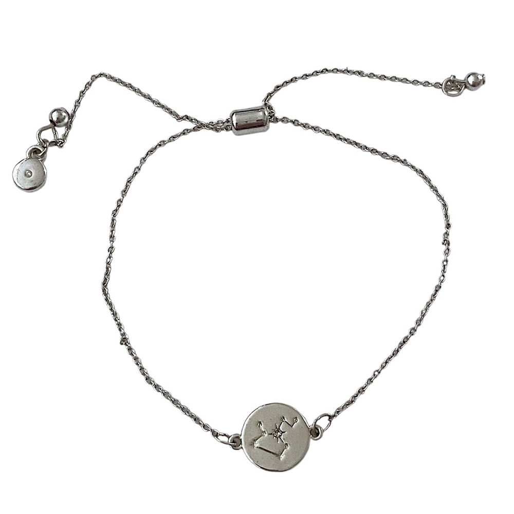 AQUARIUS Astrology Bracelet Silver